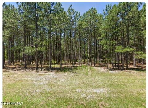 Vacant Land For Sale - 1890 Flowers Road<br/> Moore County, Jackson Springs, NC 27281