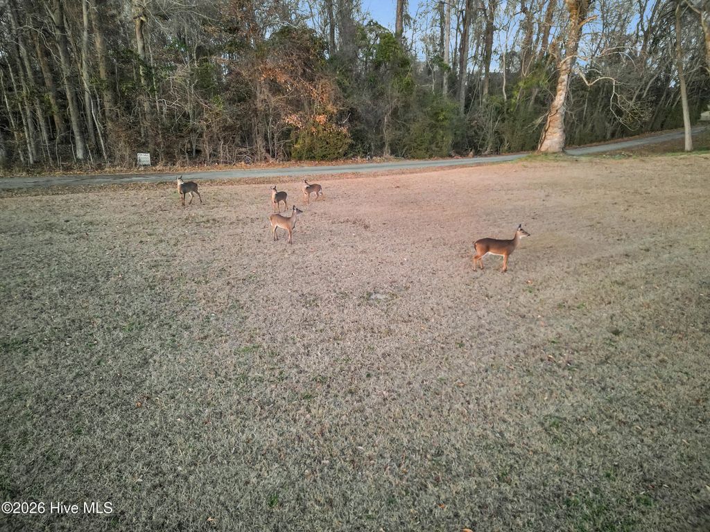 Photo of 3 Nicklaus Drive, New Bern, NC 28560 (MLS # 100550189)