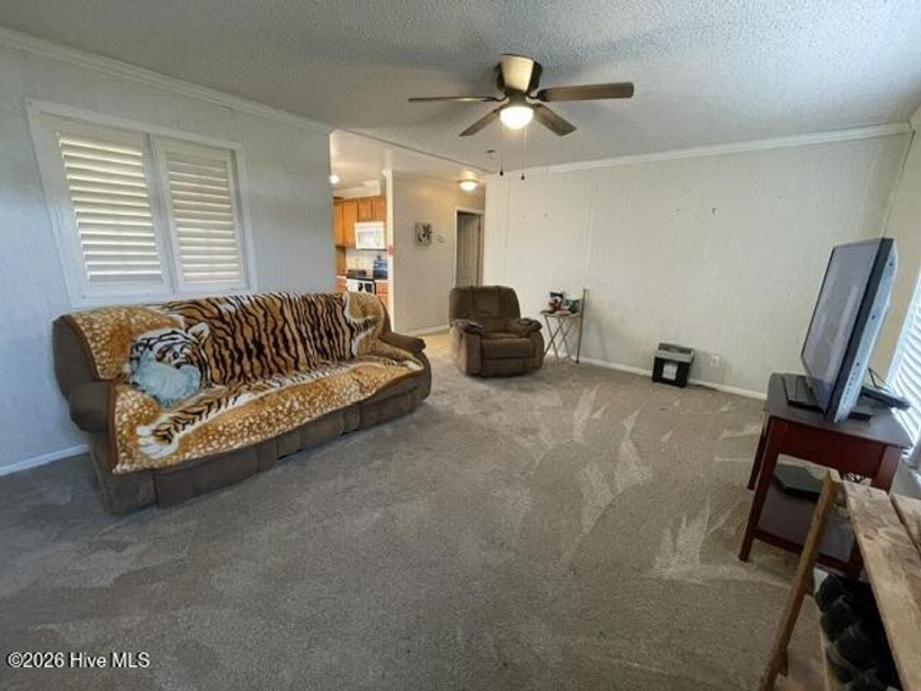 Photo of 130 Patrick Drive, Hertford, NC 27944 (MLS # 100569808)