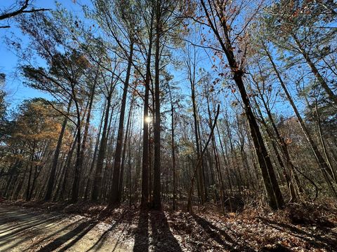 Vacant Land For Sale - LOT 8 Saggus Road<br/> Washington, GA 30673