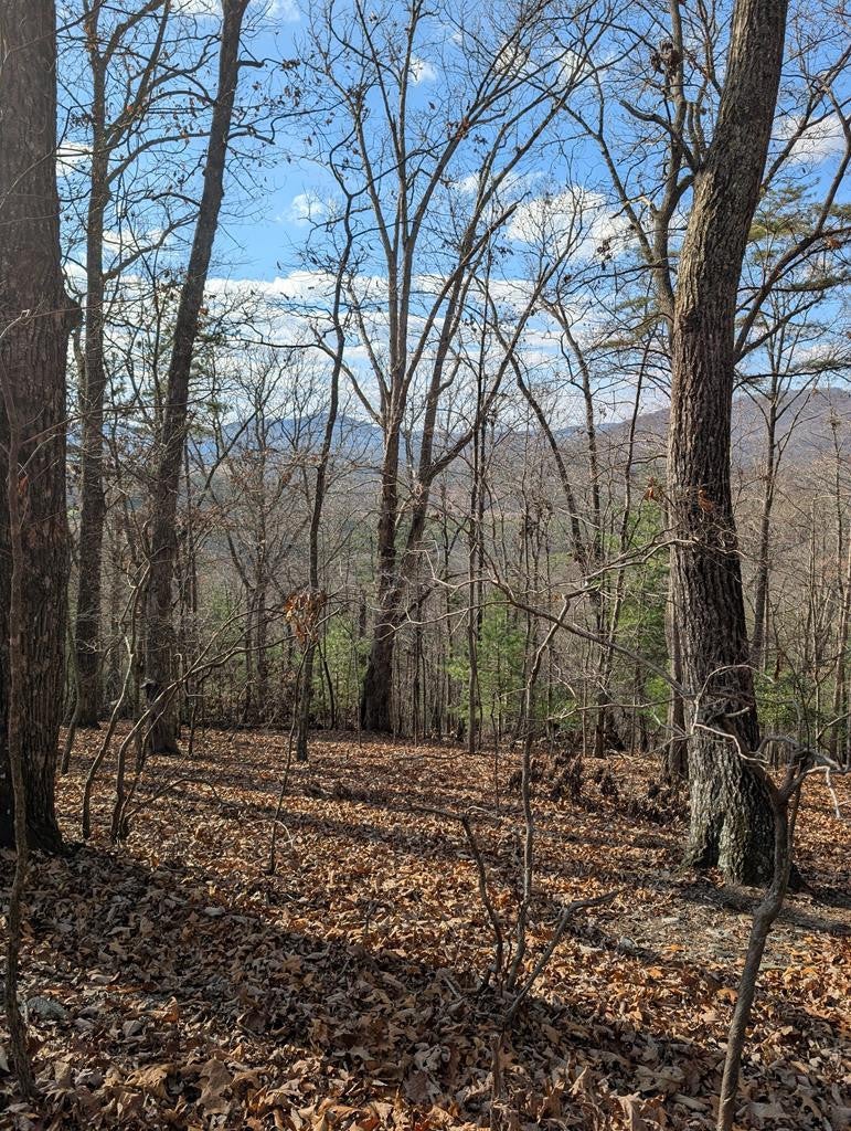 902 15B Mountain Top Drive - Photo 2