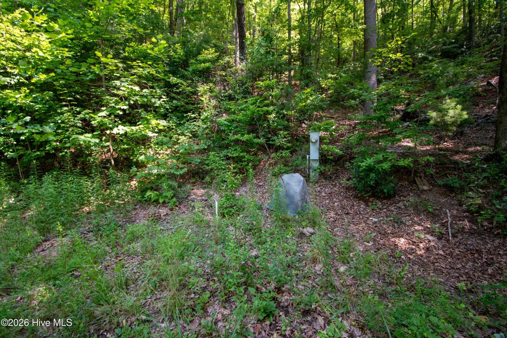Photo of 189 Henry Moss Lane, Marble, NC 28905 (MLS # 100588198)