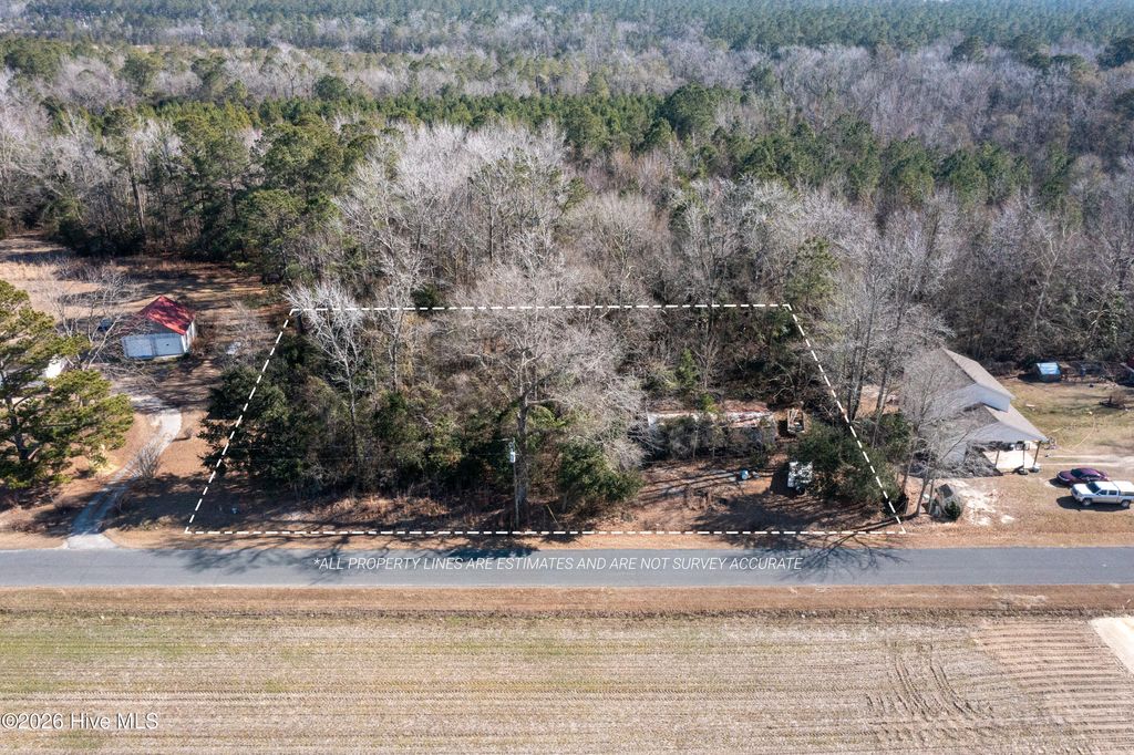 Photo of 347 Peterson Road, Delco, NC 28436 (MLS # 100550744)