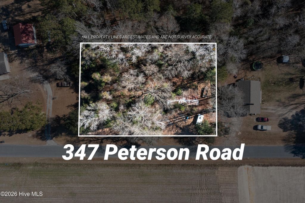 Photo of 347 Peterson Road, Delco, NC 28436 (MLS # 100550744)