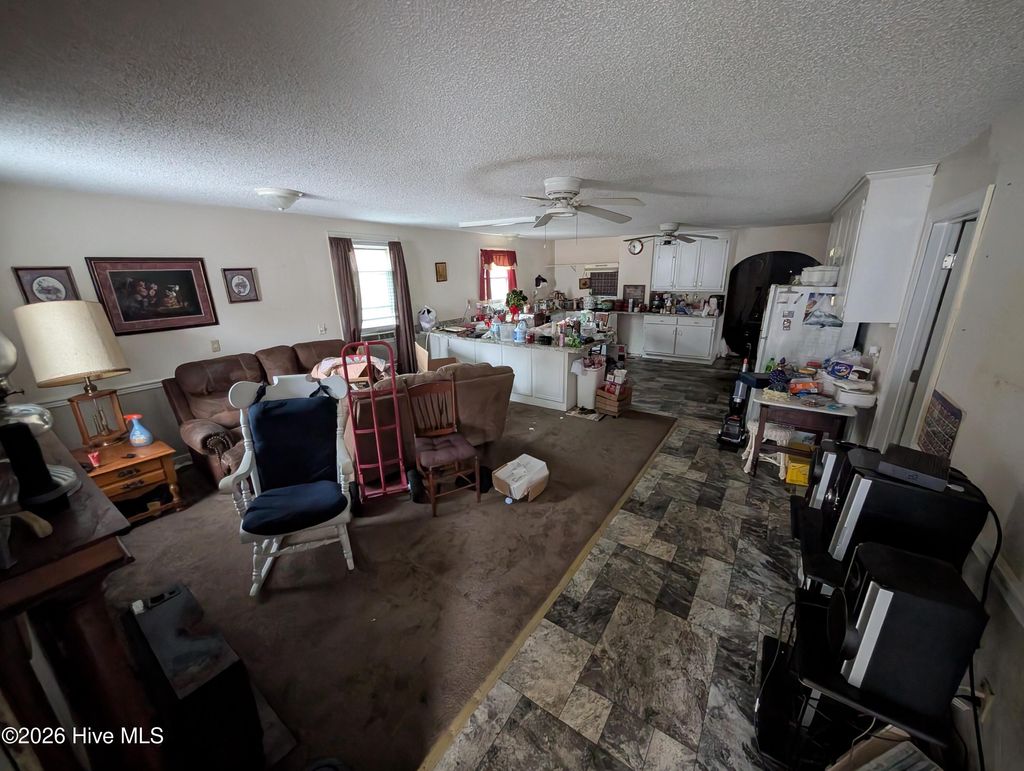 Photo of 6715 North Carolina 222, Stantonsburg, NC 27883 (MLS # 100556218)