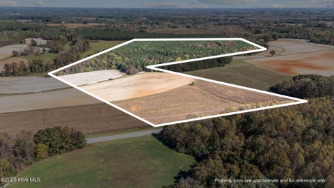 Vacant Land For Sale - Nc 43<br/> Nash County, Whitakers, NC 27891