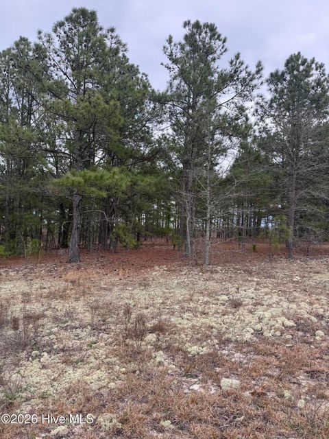 Vacant Land For Sale - 138 Batton Road<br/> Hamlet, NC 28345