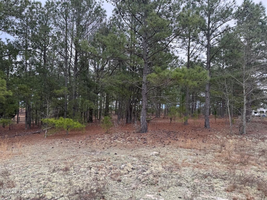 Photo of 138 Batton Road, Hamlet, NC 28345 (MLS # 100558961)