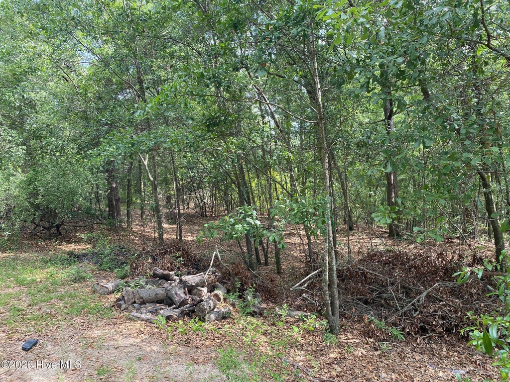 Photo of 00 Mckenzie Street, North Augusta, SC 29841 (MLS # 100585137)