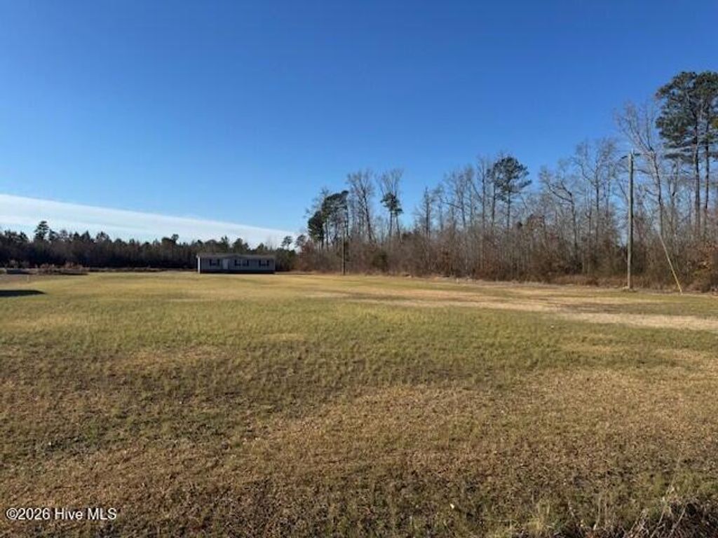 Photo of 2 Blue Foot Road, Ahoskie, NC 27910 (MLS # 100547808)