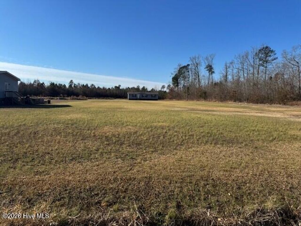 Photo of 2 Blue Foot Road, Ahoskie, NC 27910 (MLS # 100547808)