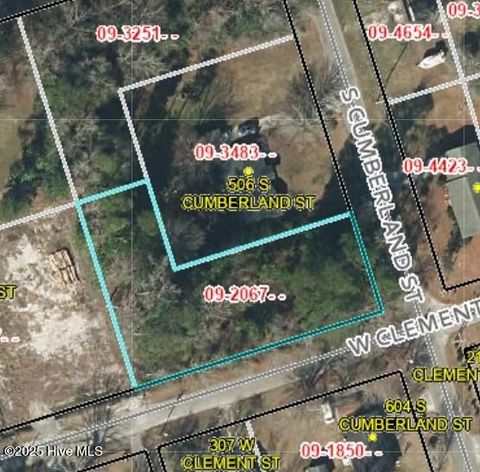Vacant Land For Sale - 00 Cumberland Clement Street<br/> Duplin County, Wallace, NC 28466