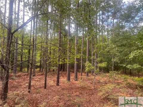 Vacant Land For Sale - 000 Scuffletown Rd Road<br/> Twin City, GA 30471