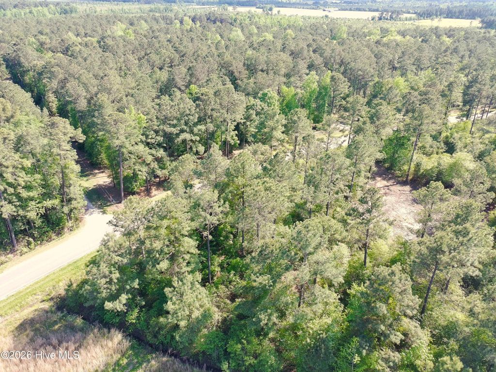 Photo of 1827 Lightwood Bridge Road, Wallace, NC 28466 (MLS # 100568557)