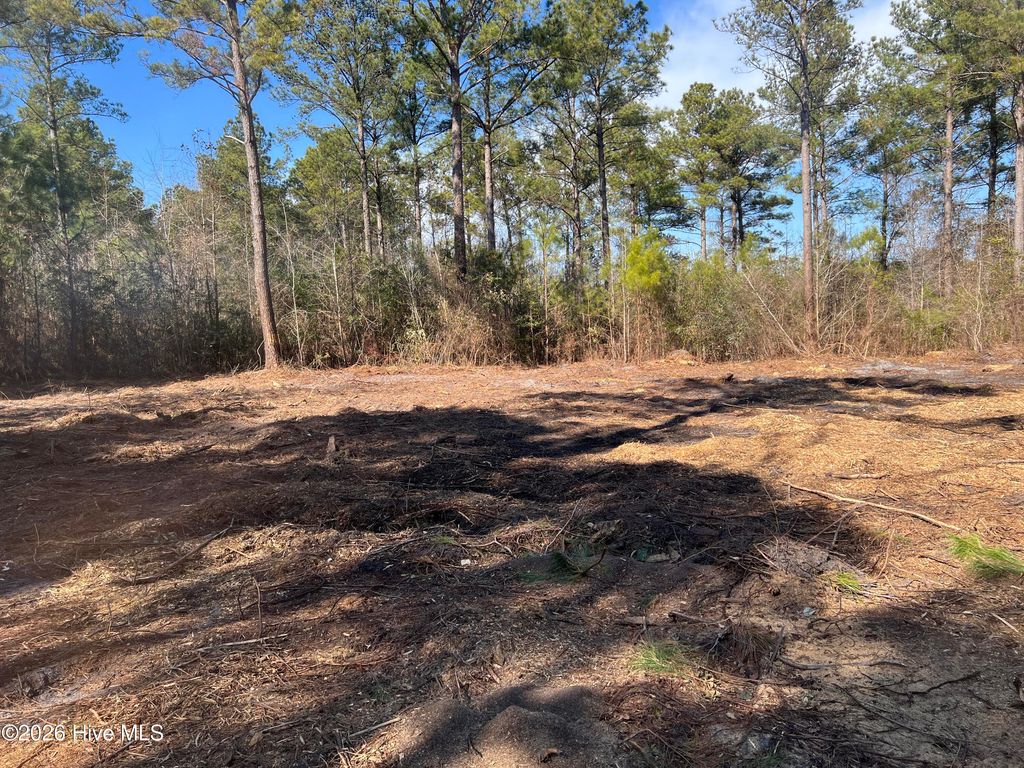 Photo of 1827 Lightwood Bridge Road, Wallace, NC 28466 (MLS # 100568557)