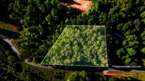 Vacant Land For Sale - TR 3 W Gum Log Road<br/> Clay County, Warne, NC 28909