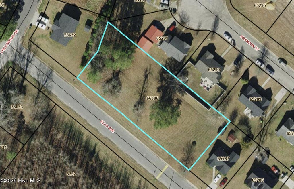 Photo of 0 Ellis Avenue, Farmville, NC 27828 (MLS # 100551183)