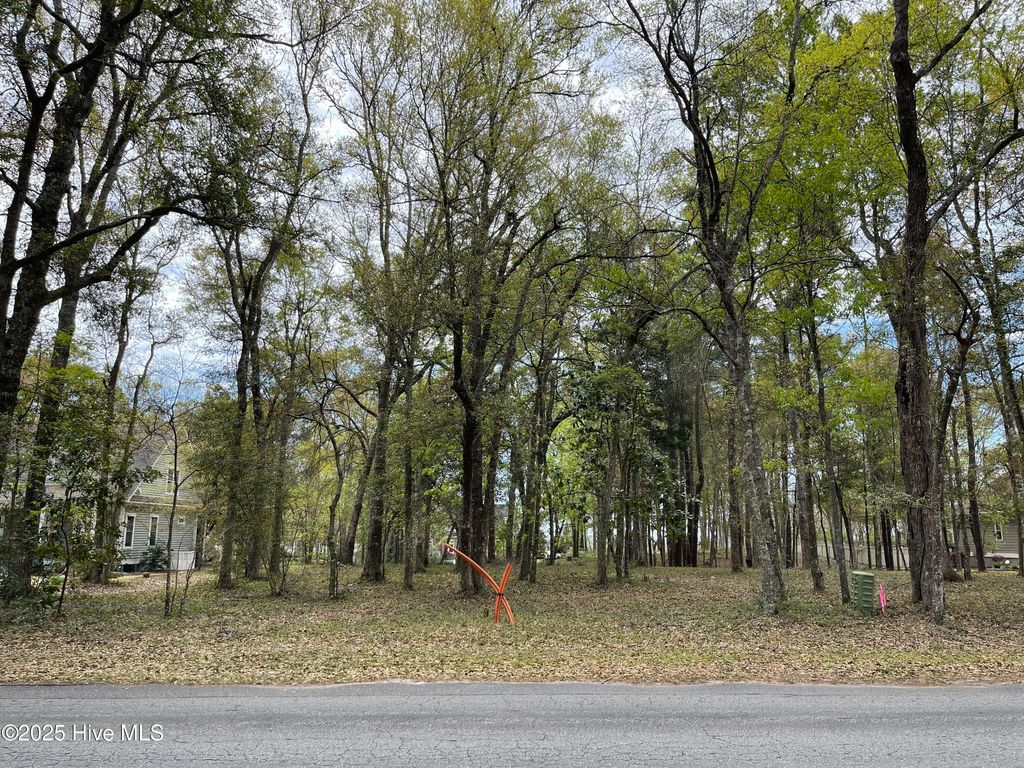 Photo of 9123 Ocean Harbour Golf Club Road, Calabash, NC 28467 (MLS # 100511879)