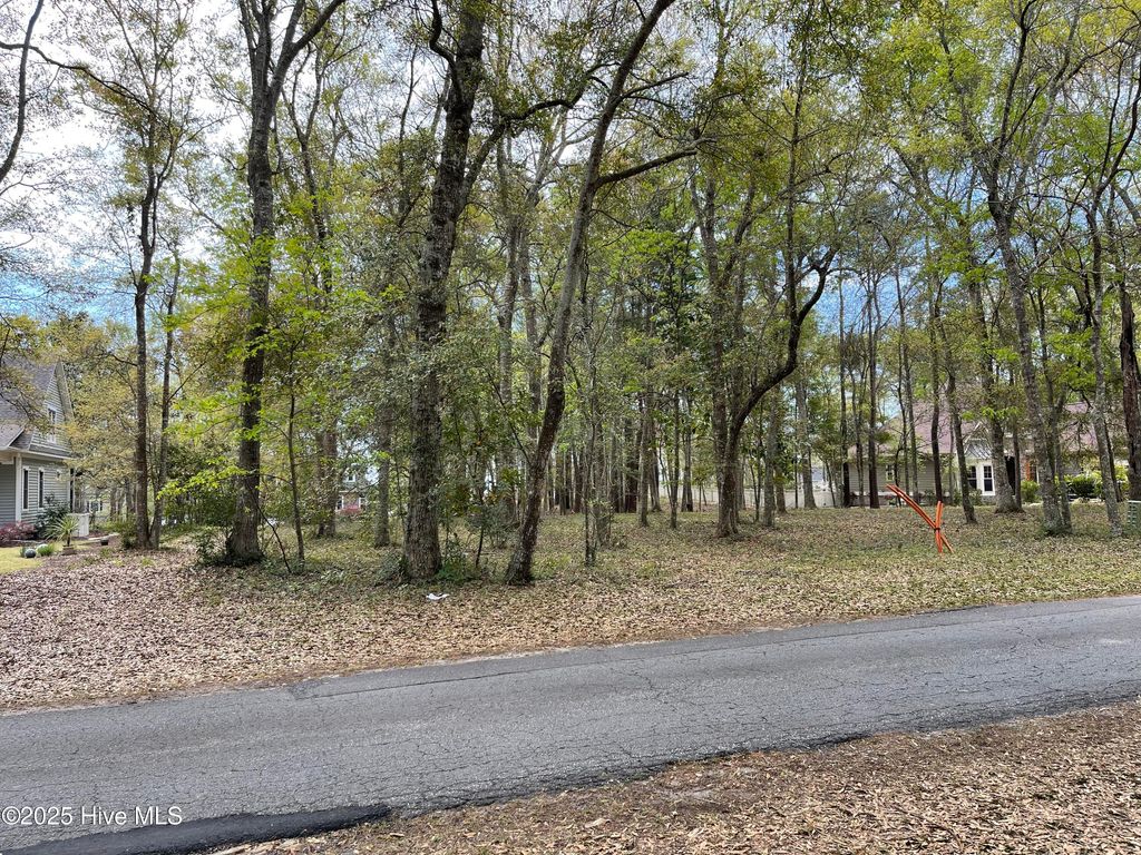 Photo of 9123 Ocean Harbour Golf Club Road, Calabash, NC 28467 (MLS # 100511879)