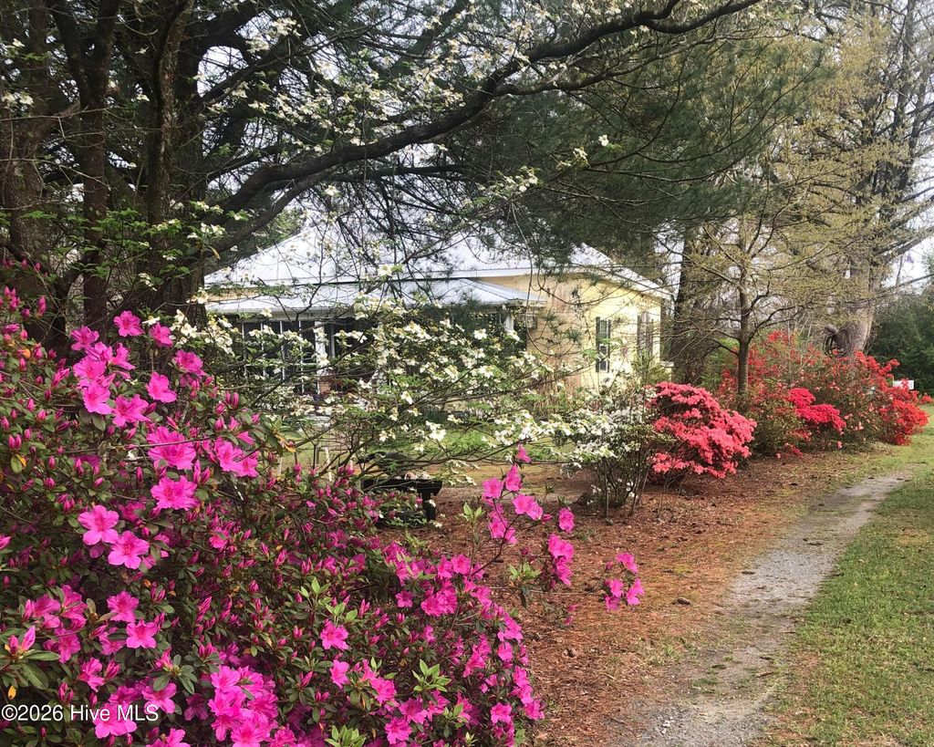 Photo of 1560 Register Sutton Road, Rose Hill, NC 28458 (MLS # 100530476)