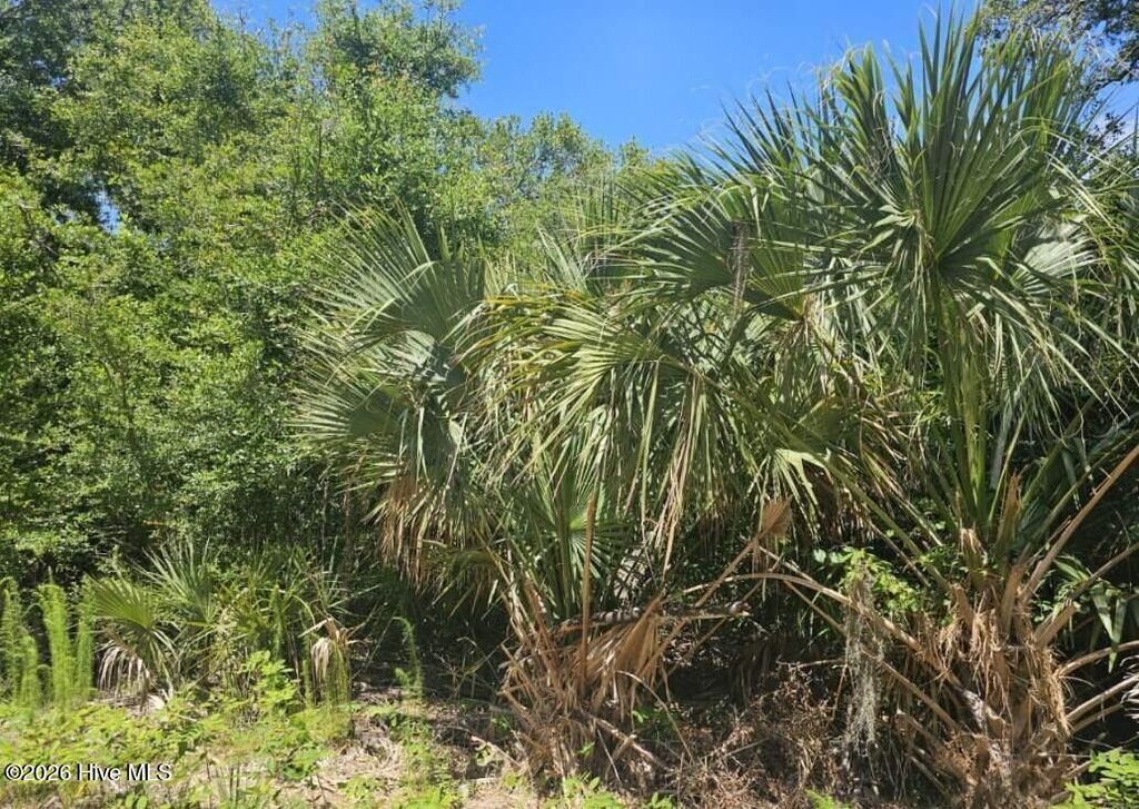 Photo of 6 Red Bay Court, Bald Head Island, NC 28461 (MLS # 100557811)