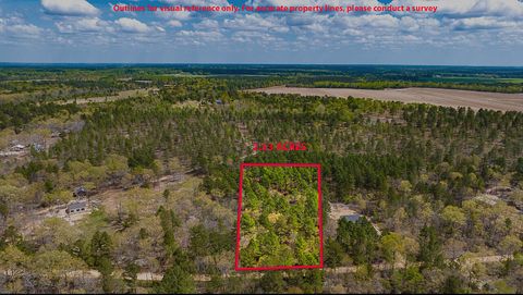 Vacant Land For Sale - LOT 4 Bluffwood Road<br/> Aiken County, Wagener, SC 29164