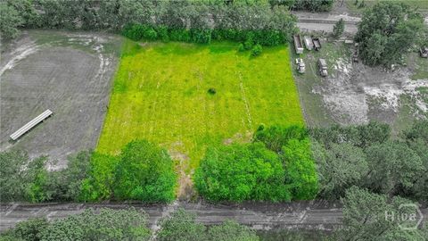 Vacant Land For Sale - Springfield Egypt Road<br/> Springfield, GA 31329