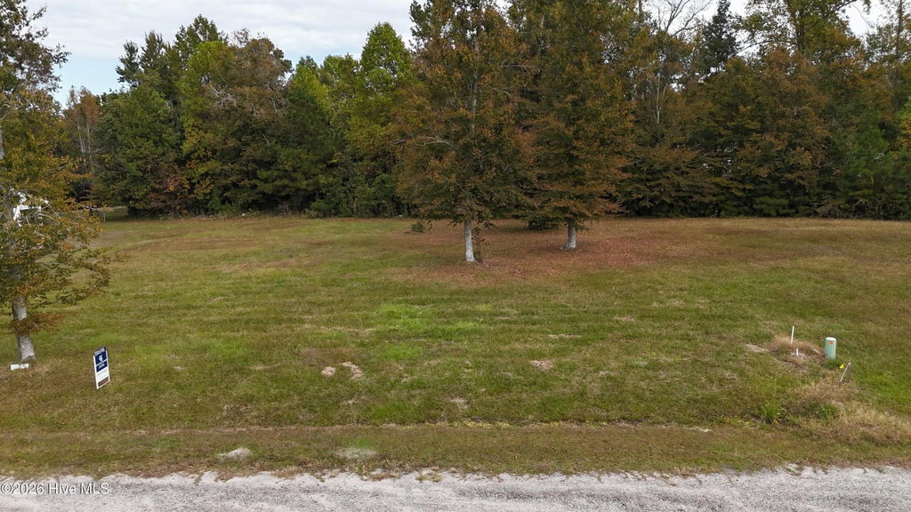 Photo of 6 Loggerhead Court, Washington, NC 27889 (MLS # 100613029)