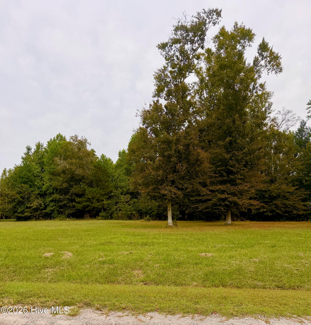 Photo of 6 Loggerhead Court, Washington, NC 27889 (MLS # 100613029)