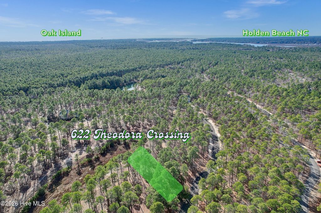 Photo of 622 Theodora Crossing SE, Bolivia, NC 28422 (MLS # 100549172)