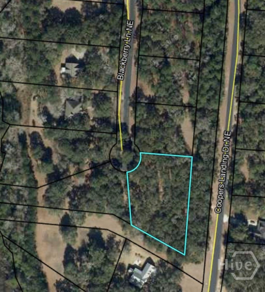 Photo of 0 Blackberry Lane NE, Townsend, GA 31331 (MLS # CL356280)