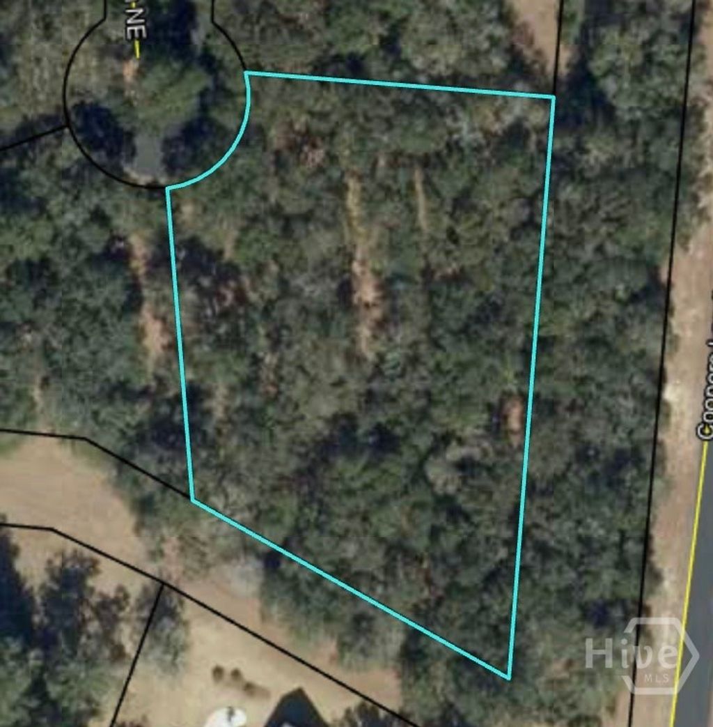 Photo of 0 Blackberry Lane NE, Townsend, GA 31331 (MLS # CL356280)
