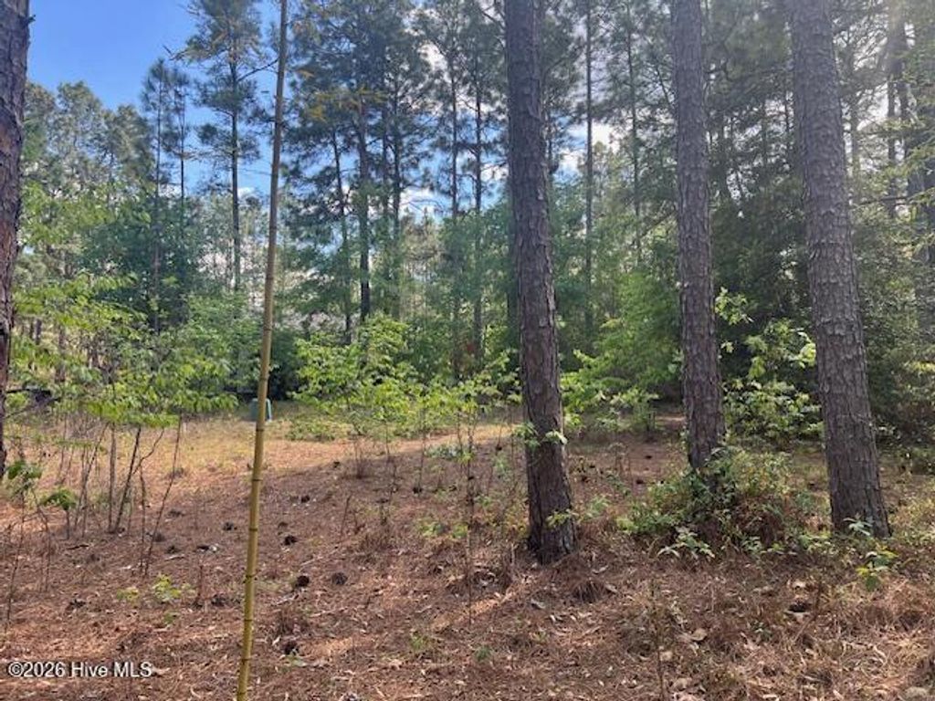 Photo of 212 Skyline Manor Road, Southern Pines, NC 28387 (MLS # 100568474)