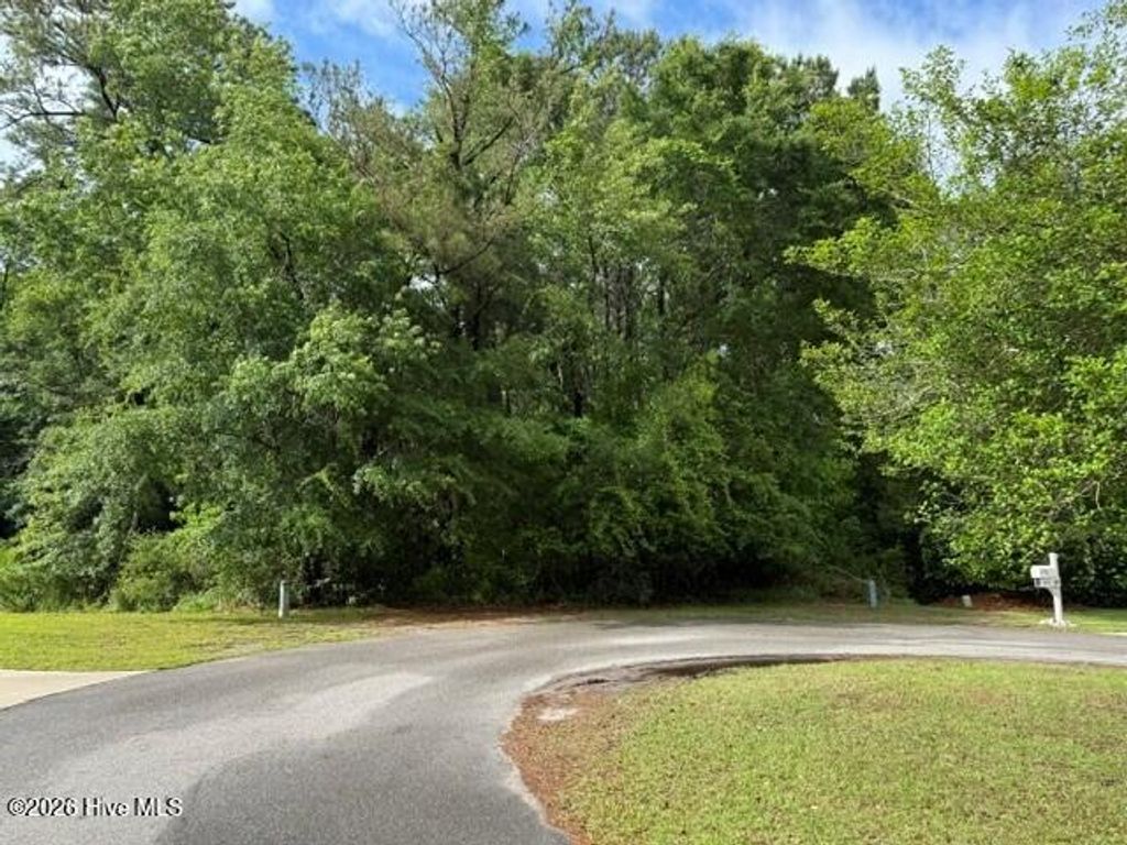 Photo of 22 W High Bluff Drive, Hampstead, NC 28443 (MLS # 100575138)