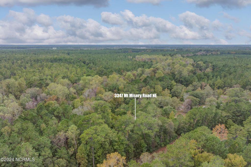 Photo of 3347 Mt Misery Road NE, Leland, NC 28451 (MLS # 100471654)