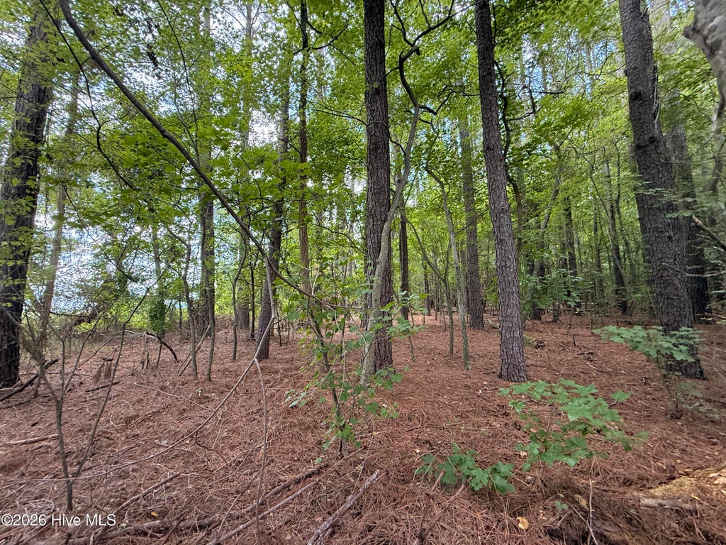 Photo of 2 Holland Road, Greenville, NC 27834 (MLS # 100599703)
