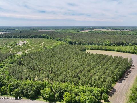 Vacant Land For Sale - Skeeter Pond Road<br/> Grifton, NC 28530