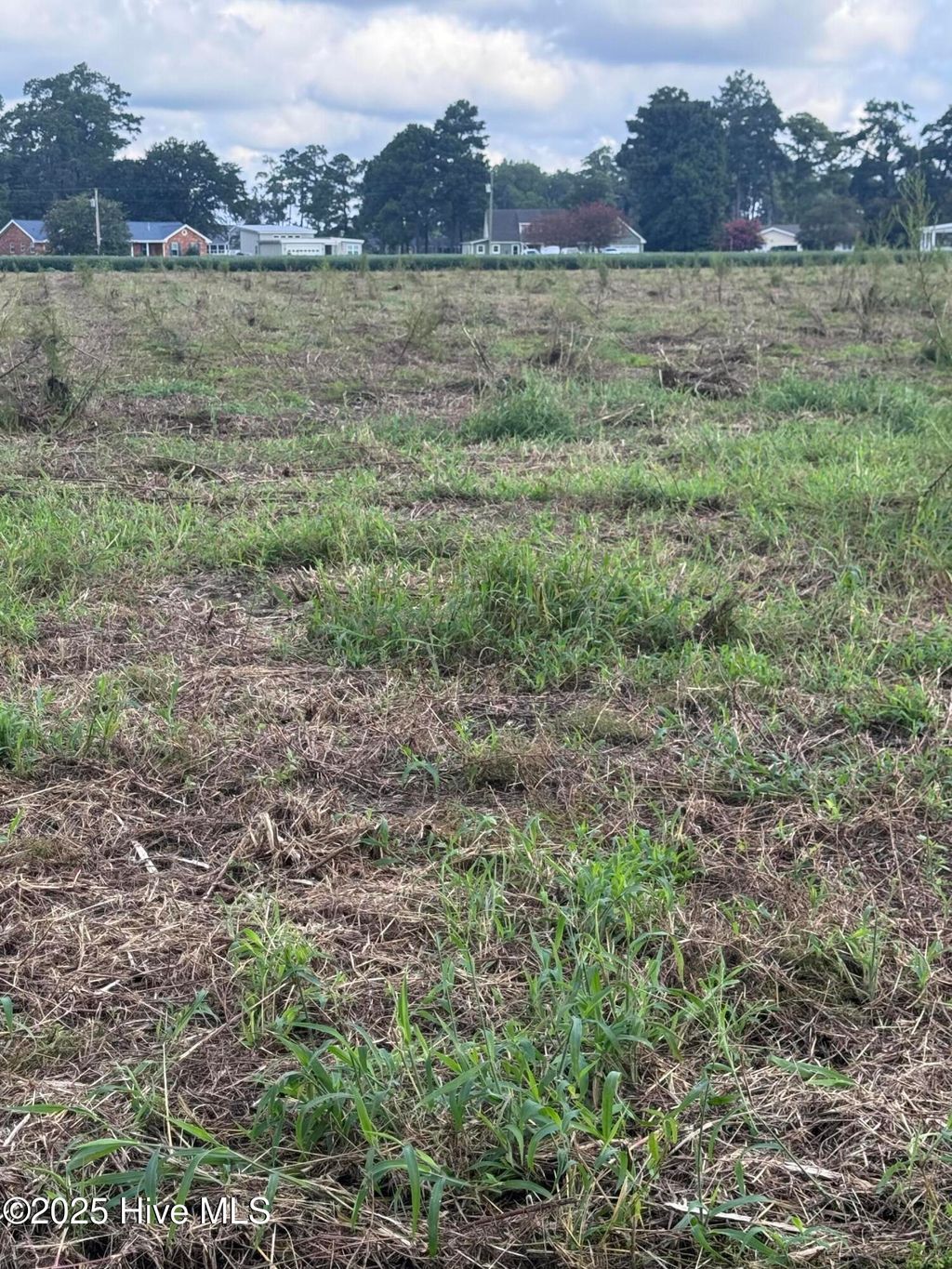 Photo of 0 Kirby Grange Avenue, Bath, NC 27808 (MLS # 100526613)