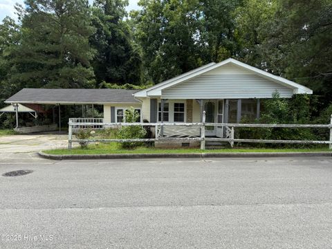 Homes For Sale - 41 Twin Pines Road<br/> Columbus County, Whiteville, NC 28472