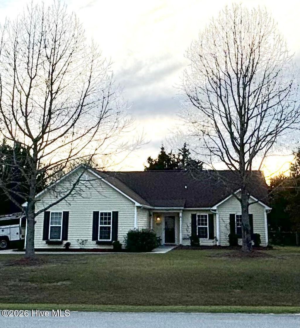 Photo of 302 Appaloosa Court, Swansboro, NC 28584 (MLS # 100561448)