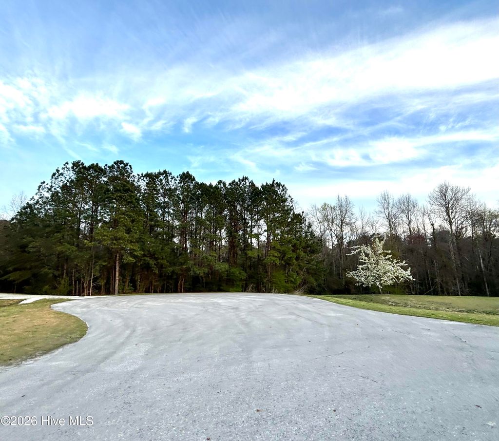 Photo of 302 Appaloosa Court, Swansboro, NC 28584 (MLS # 100561448)