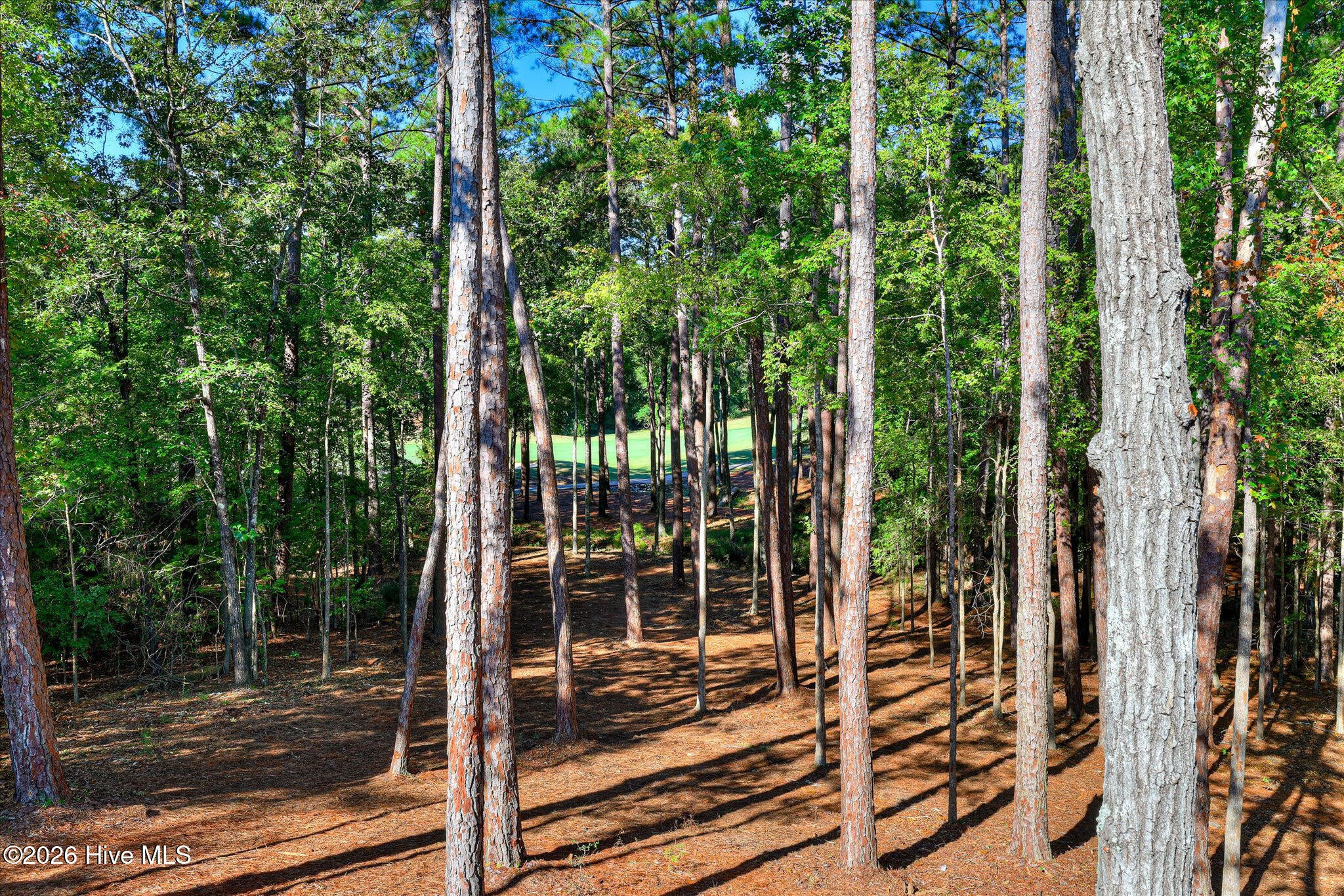 212 Pirates Cove
