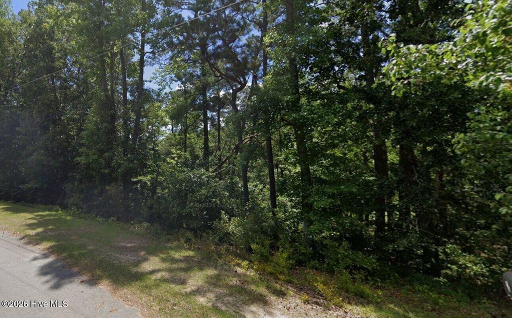 Photo of 0 Pine Circle Drive, Rockingham, NC 28379 (MLS # 100555027)