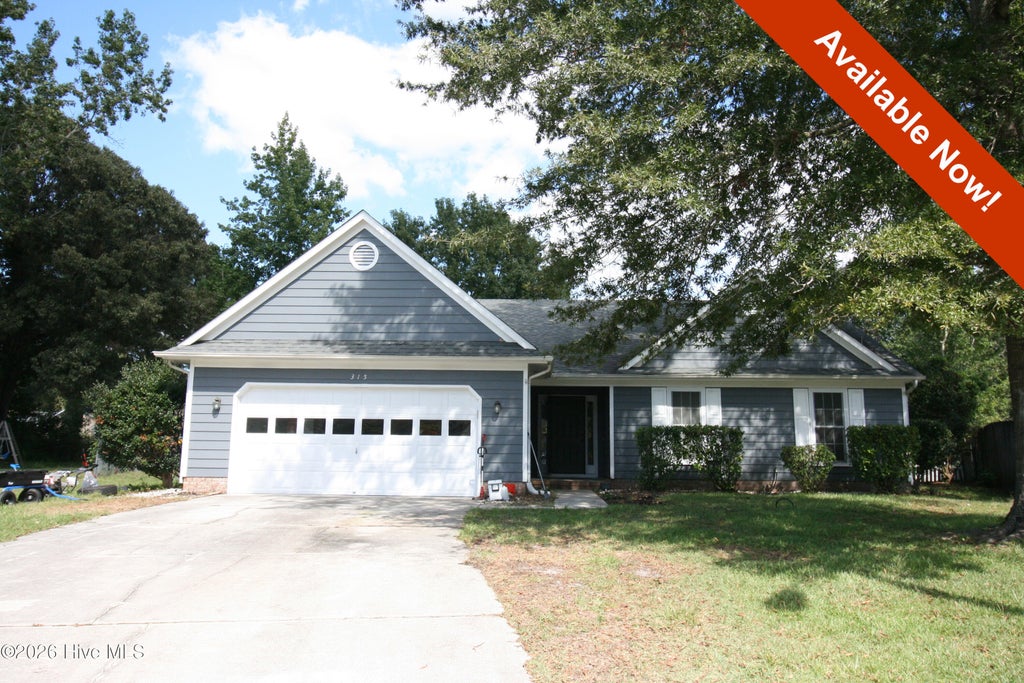 Photo of 315 Peppertree Court, Jacksonville, NC 28540 (MLS # 100605715)