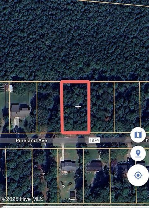 Vacant Land For Sale - Pineland Avenue<br/> Mount Olive, NC 28365