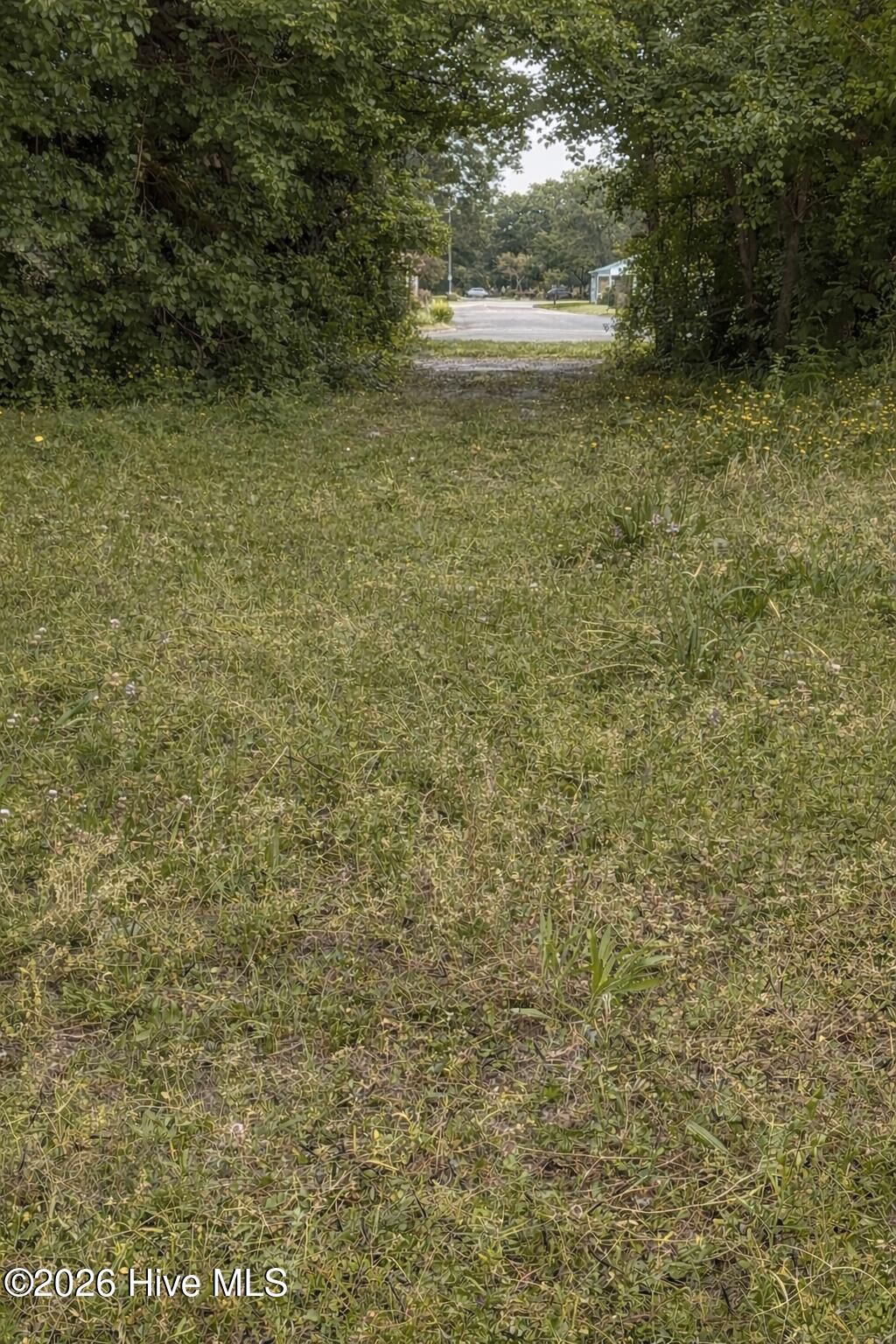 Photo of 512 2nd Avenue, New Bern, NC 28560 (MLS # 100566116)