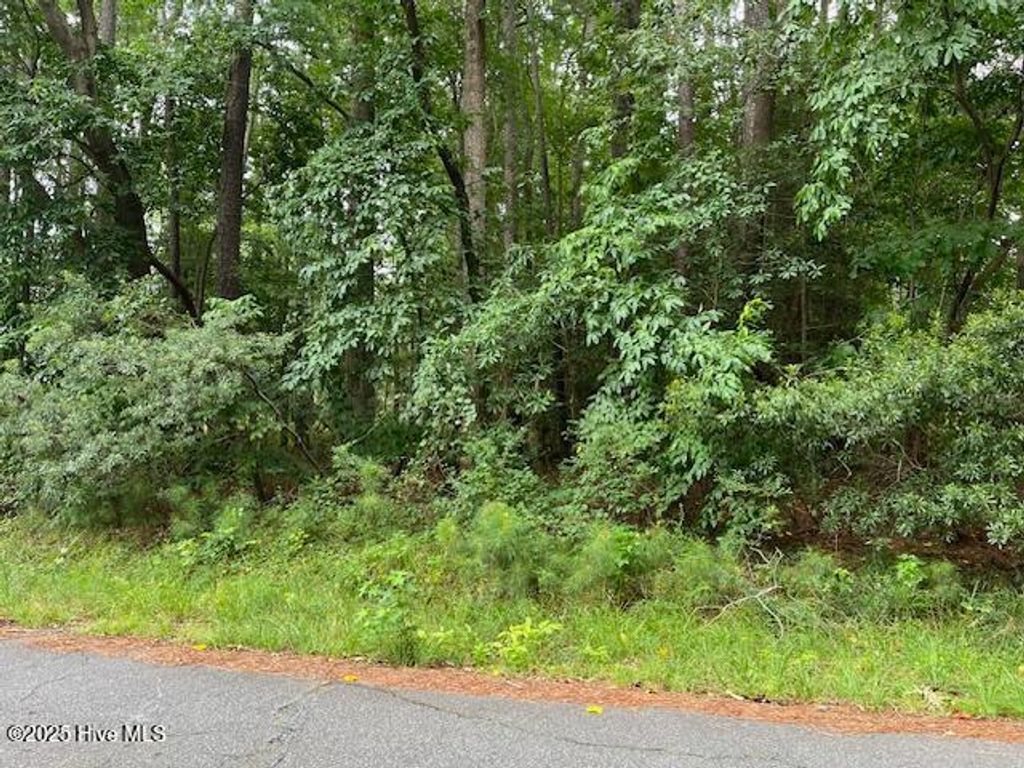Photo of 206 Barrington Drive, Tarboro, NC 27886 (MLS # 100524596)