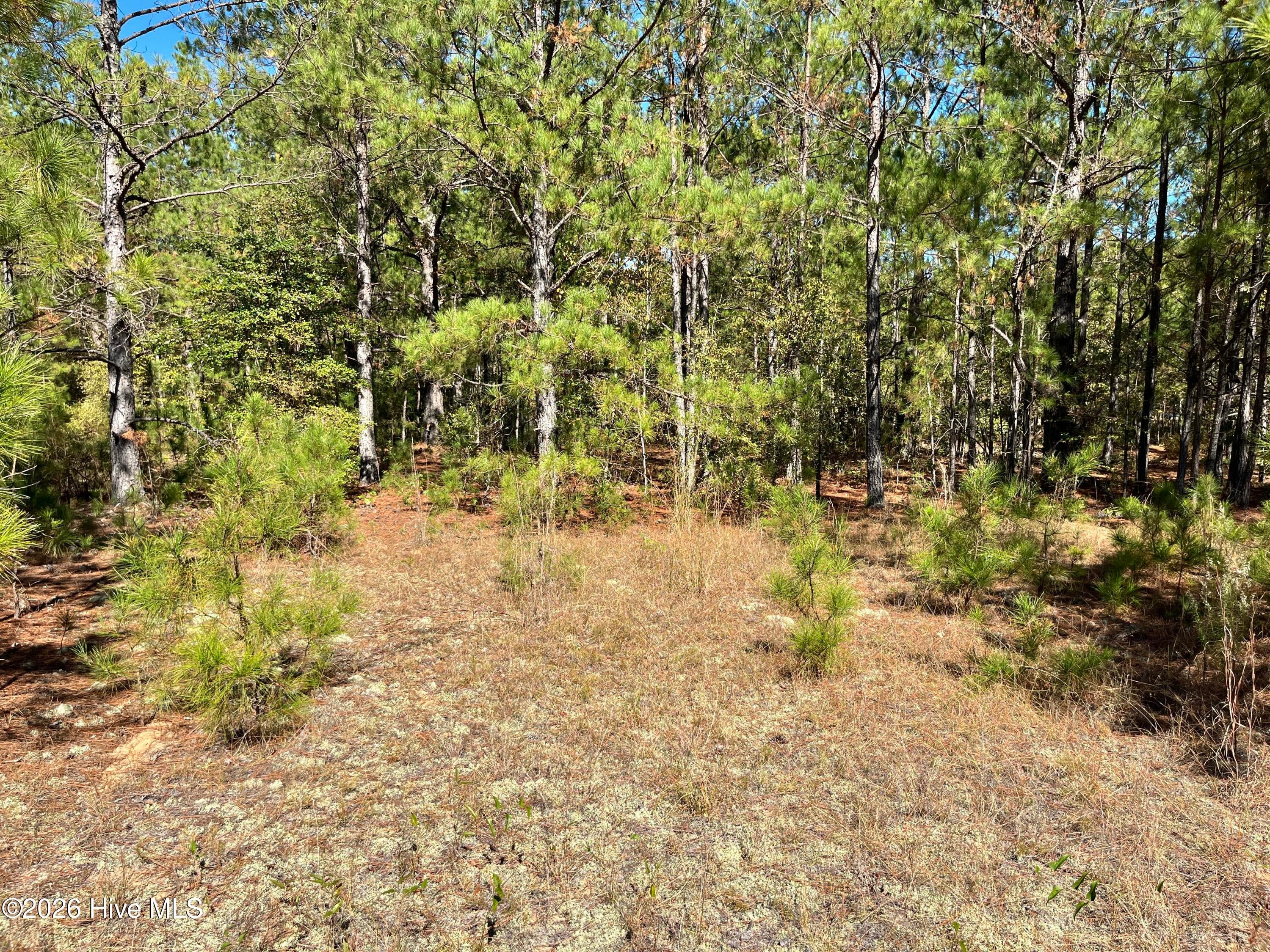 Lot 9 Jasper Davis Road