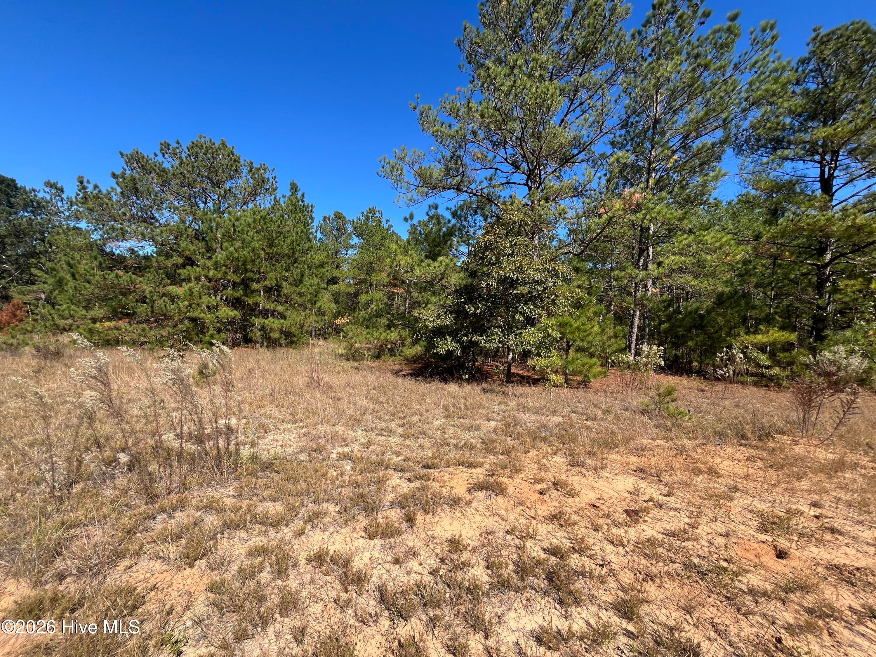 Lot 9 Jasper Davis Road