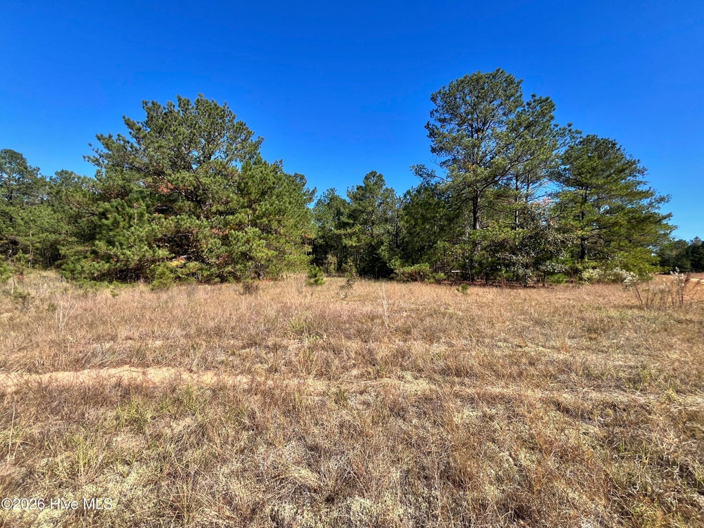 Photo of 9 Jasper Davis Road, Avera, GA 30803 (MLS # 100612328)